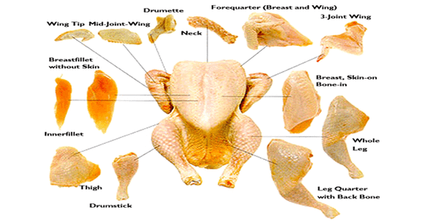 Chicken Diagram 4h